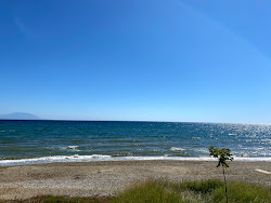 Photo de Paralia Alkionas avec rivage droit, long