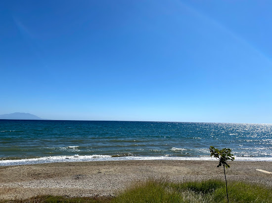 Paralia Alkionas
