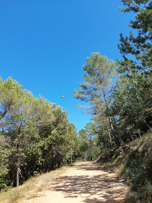 Saint-Cézaire-sur-Siagne à Saint-Cézaire-sur-Siagne