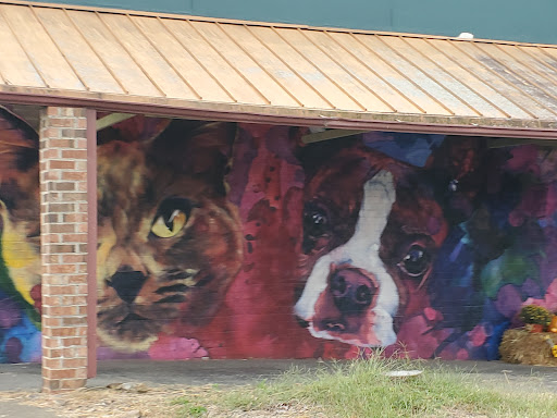 Pet Supply Store «The Dog House», reviews and photos, 304 N Haywood St, Waynesville, NC 28786, USA