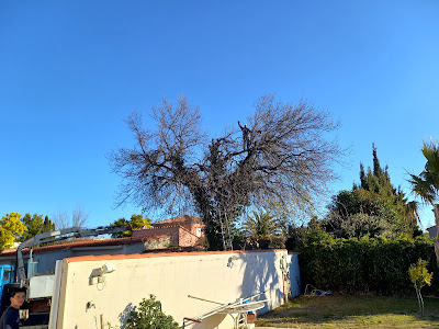 Rénovation Home Jardin à Pia