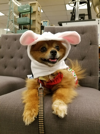 Clothing Store «Ross Dress for Less», reviews and photos, 4032 Grand Ave, Chino, CA 91710, USA