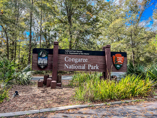 National Park «Congaree National Park», reviews and photos, 100 National Park Rd, Hopkins, SC 29061, USA