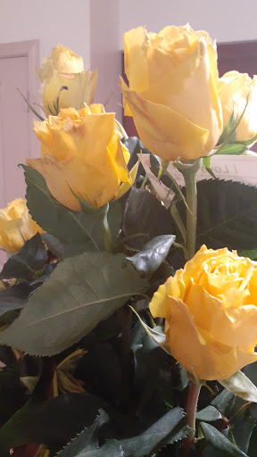 Florist «Amazon Flowers», reviews and photos, 6730 SW 20th Ct, Miramar, FL 33023, USA