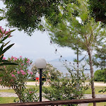 Photo n°1 de l'avis de Karin. fait le 07/07/2023 à 14:46 sur le  Baby luna cala gonone à Cala Gonone