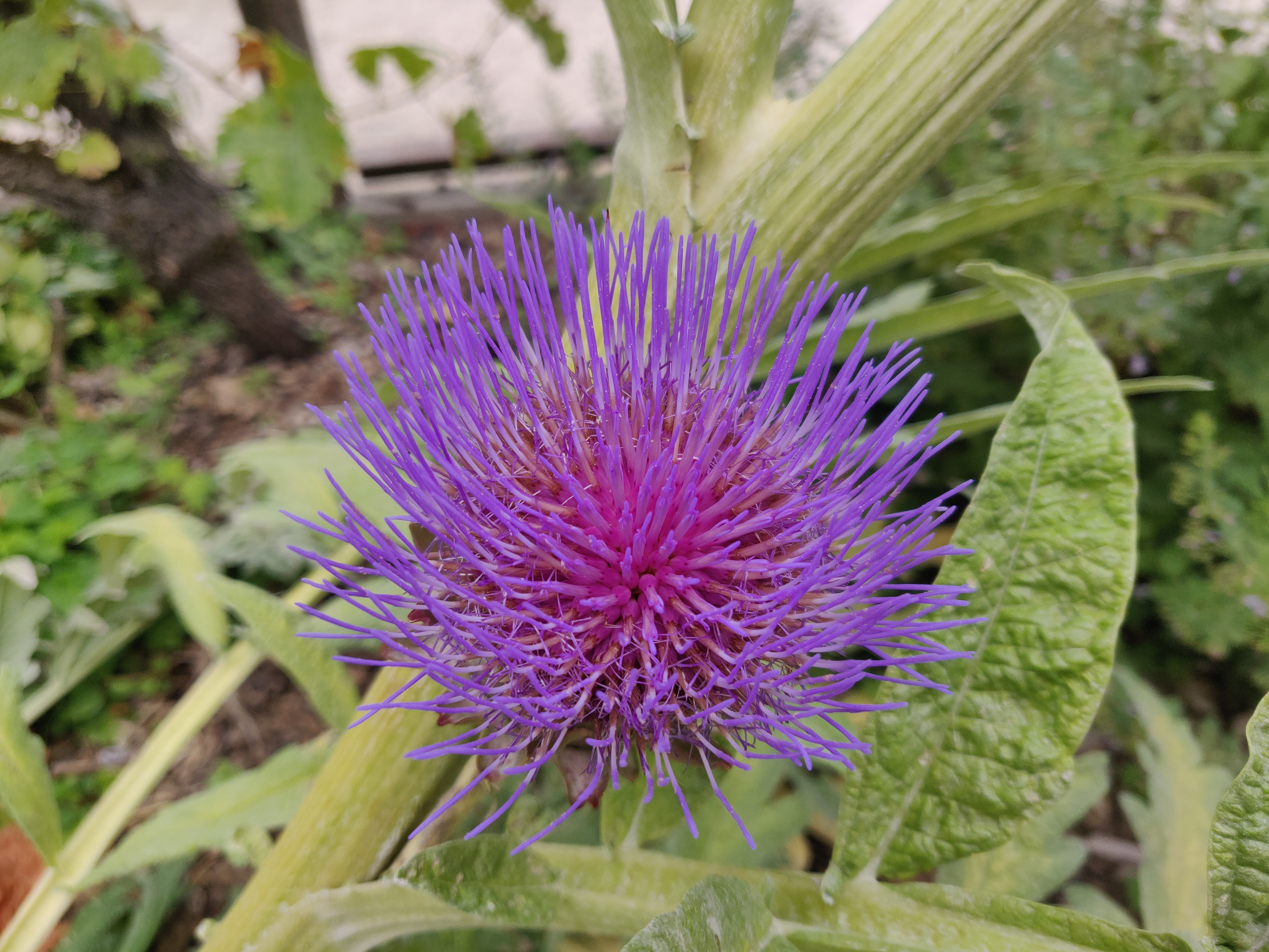 Photo n° 26 de l'avis de Quentin.H fait le 27/07/2023 à 18:41