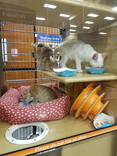 Pet Supply Store «PetSmart», reviews and photos, 12741 Towne Center Dr, Cerritos, CA 90703, USA