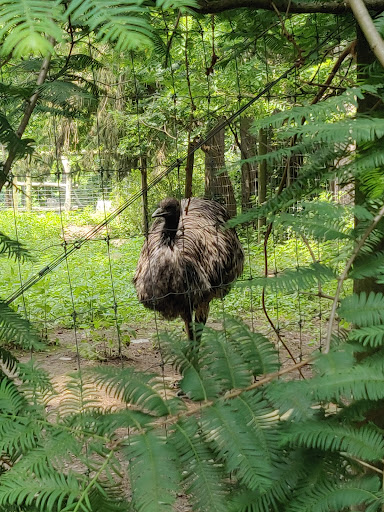 Zoo «Trevor Zoo at Millbrook School», reviews and photos, 282 Millbrook School Rd, Millbrook, NY 12545, USA