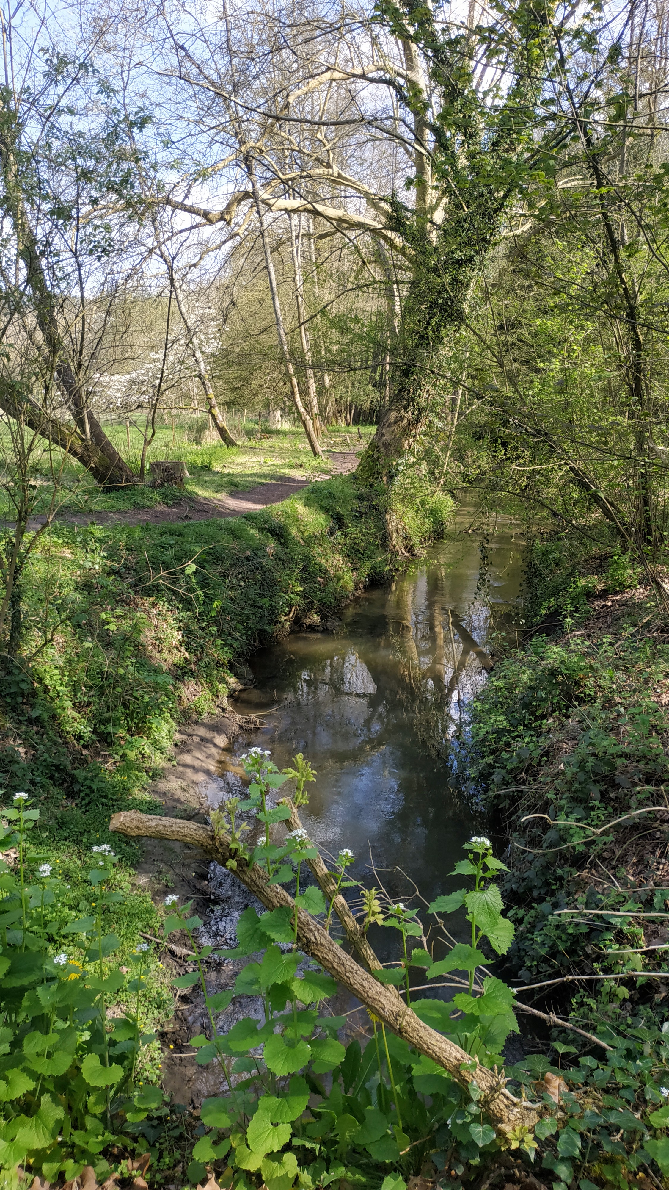 Photo n° 20 de l'avis de The.a fait le 14/04/2022 à 15:59