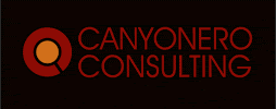 Canyonero Consulting - Photo 3 - Car repair in Rochester Hills, MI, Sterling Heights