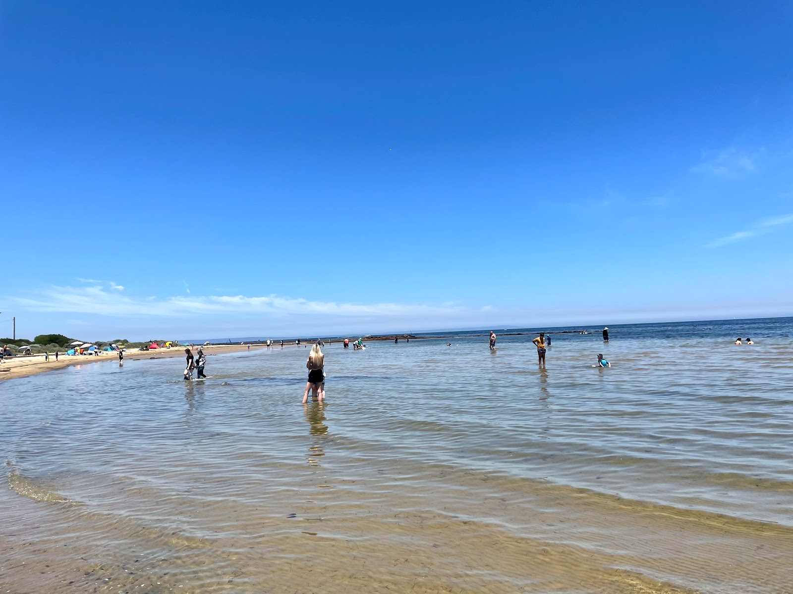 Beaumaris Beach'in fotoğrafı çok temiz temizlik seviyesi ile