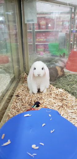 Pet Supply Store «Pet Supermarket», reviews and photos, 10291 Pines Blvd, Pembroke Pines, FL 33026, USA