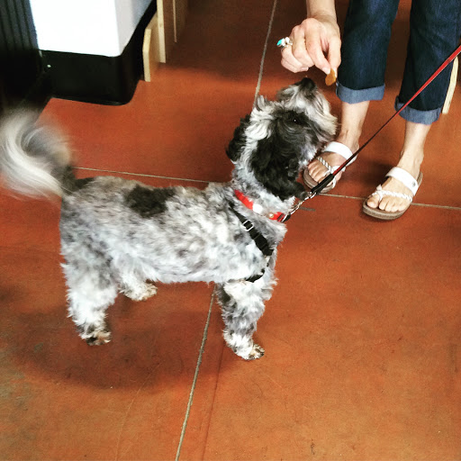 Pet Store «Exclusive Pet Supply», reviews and photos, 21829 NE Halsey St, Fairview, OR 97024, USA