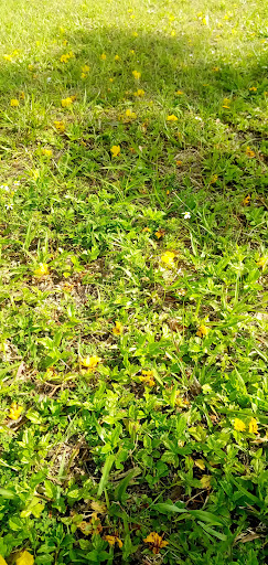 Park «Lake Stevens Park», reviews and photos, 5301 NW 183rd St, Miami Gardens, FL 33055, USA