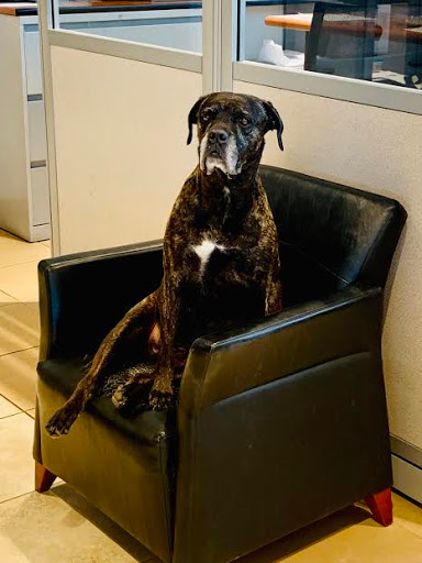 Car Dealer «Mark Sweeney Buick GMC», reviews and photos, 3365 Highland Ave, Cincinnati, OH 45213, USA