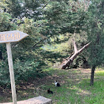 Photo n°2 de l'avis de Montse.o fait le 06/05/2022 à 13:26 sur le  Tenuta Santo Pietro à Pienza