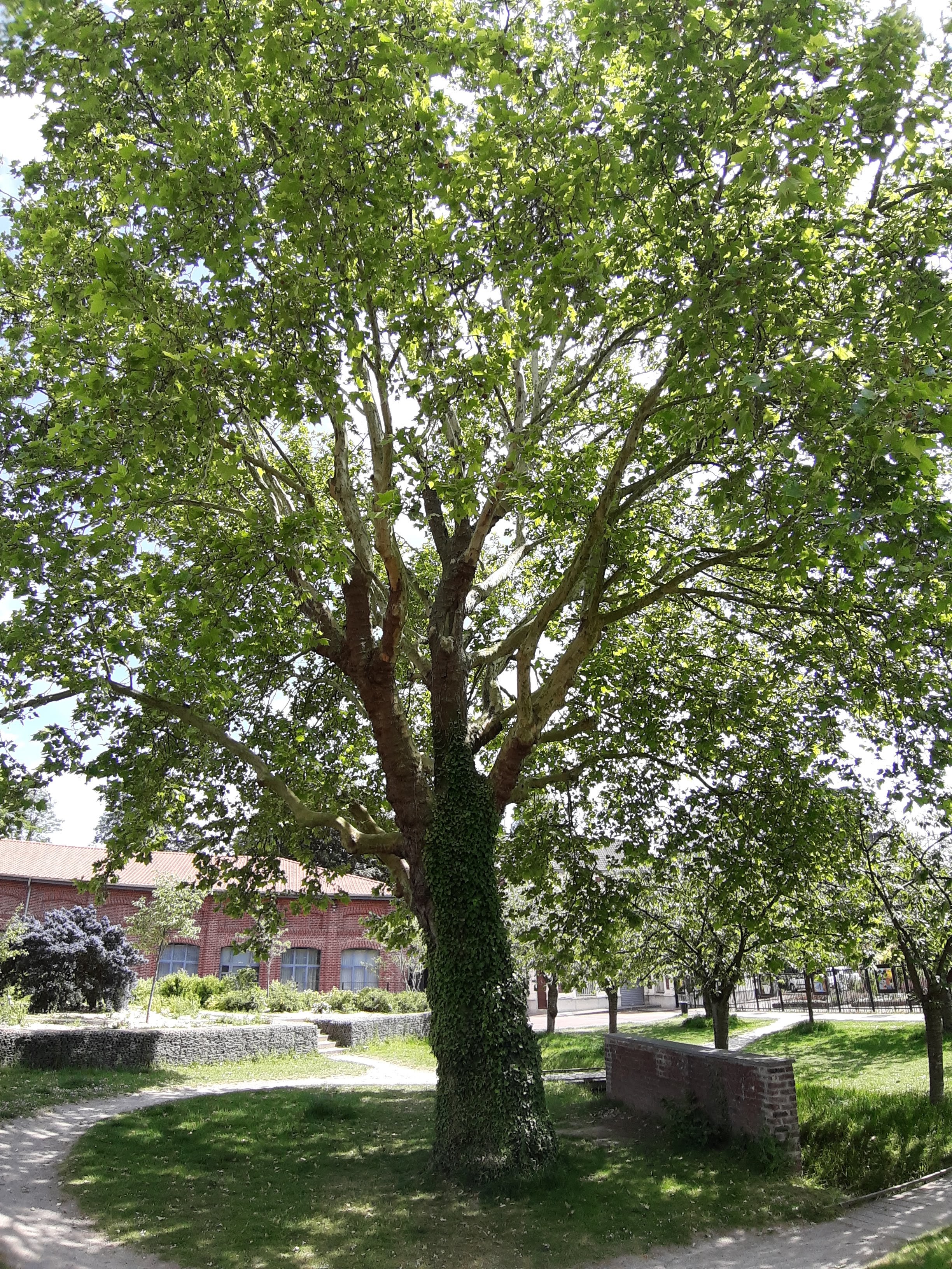 Photo n° 12 de l'avis de ka.i fait le 14/06/2019 à 13:23