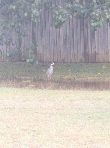 Park «Hurst Community Park», reviews and photos, 601 Precinct Line Rd, Hurst, TX 76053, USA