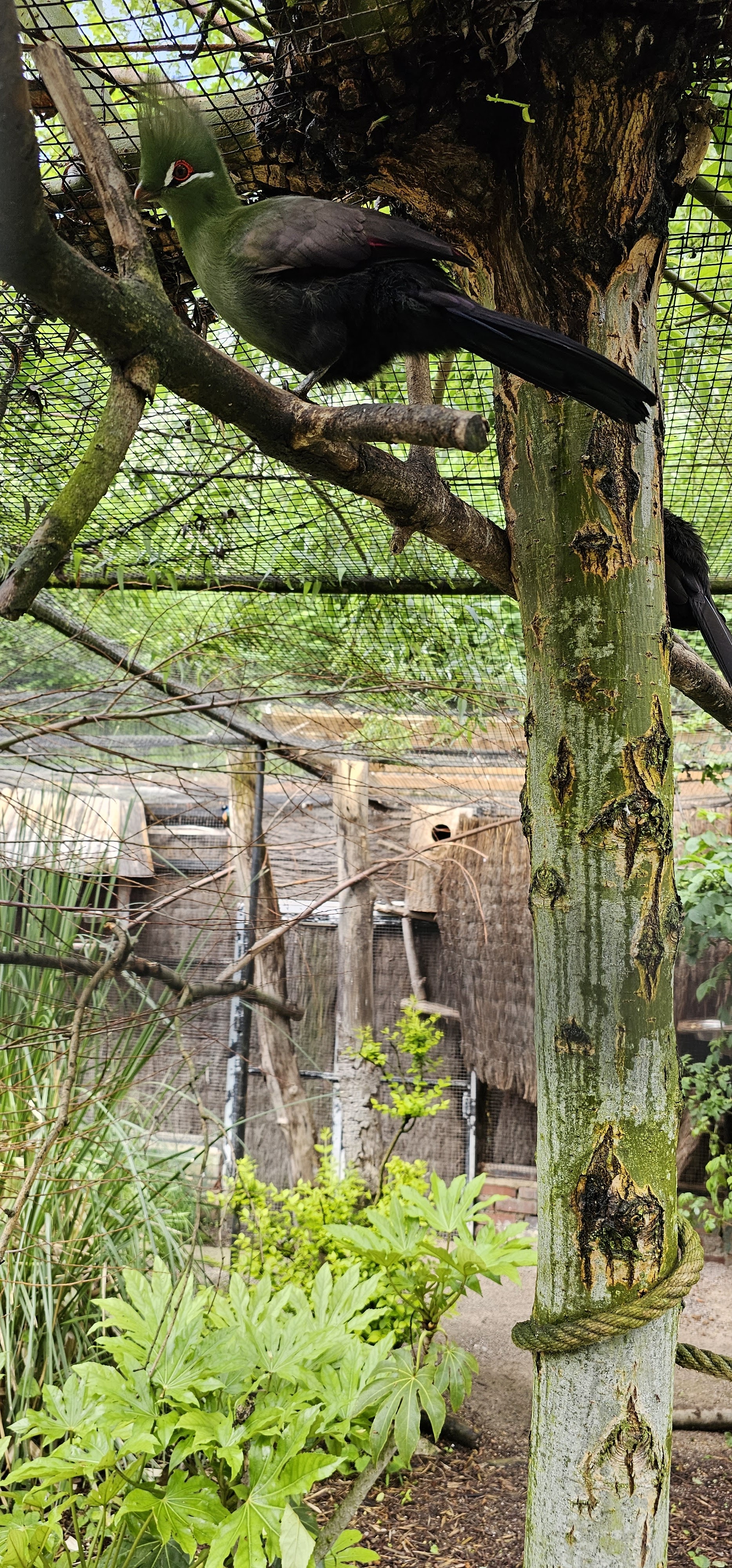 Photo n° 17 de l'avis de yaya.a fait le 15/05/2023 à 16:30