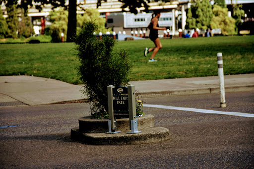 Park «Mill Ends Park», reviews and photos, 56 SW Taylor St, Portland, OR 97204, USA