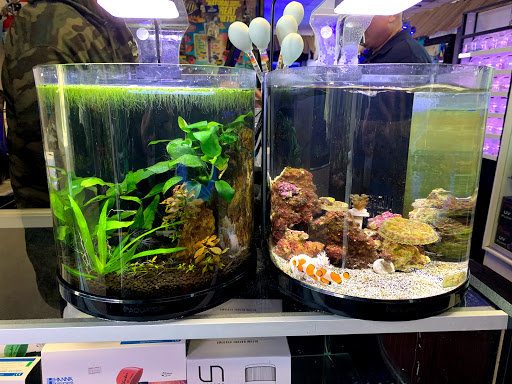 Pet Store «Pet World», reviews and photos, 891 Harriman Pl, San Bernardino, CA 92408, USA