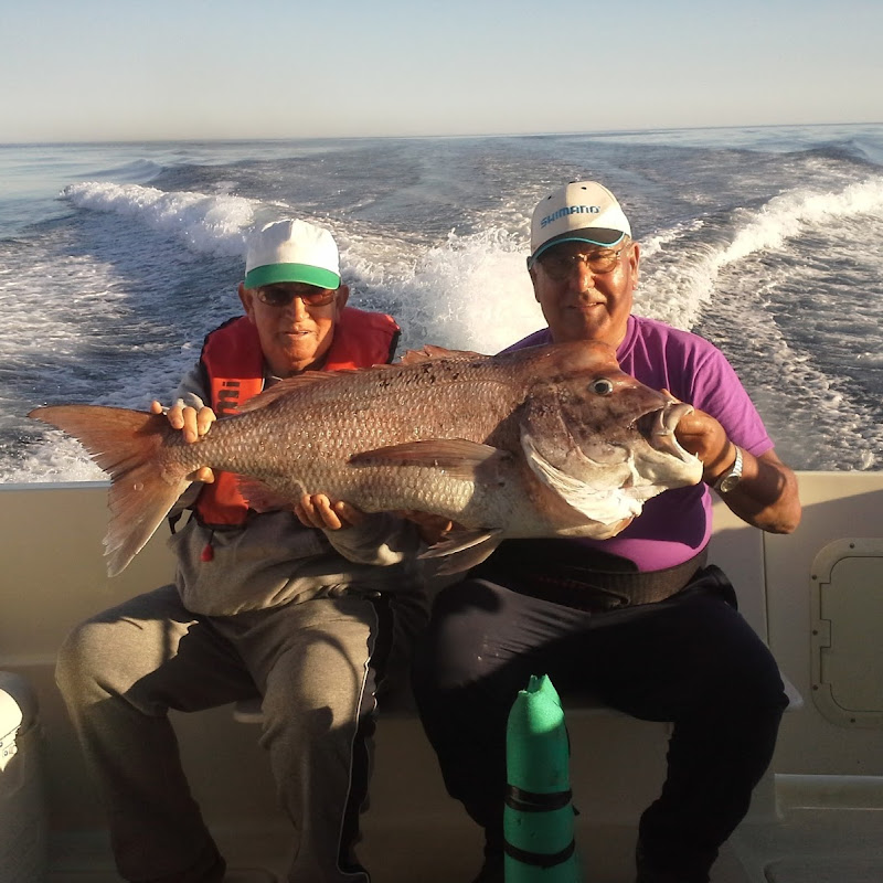 Alvor Fishing Donzela