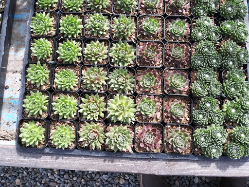 Building Materials Store «Silverado Building Materials», reviews and photos, 460 S Stockton Ave, Ripon, CA 95366, USA