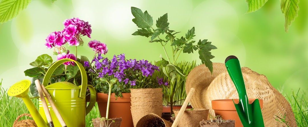 Rent a Gardener (Pty)Ltd, Incorporating Rent a Domestic
