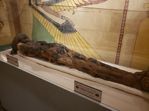 Museum «Museum of World Treasures», reviews and photos, 835 E 1st St N, Wichita, KS 67202, USA