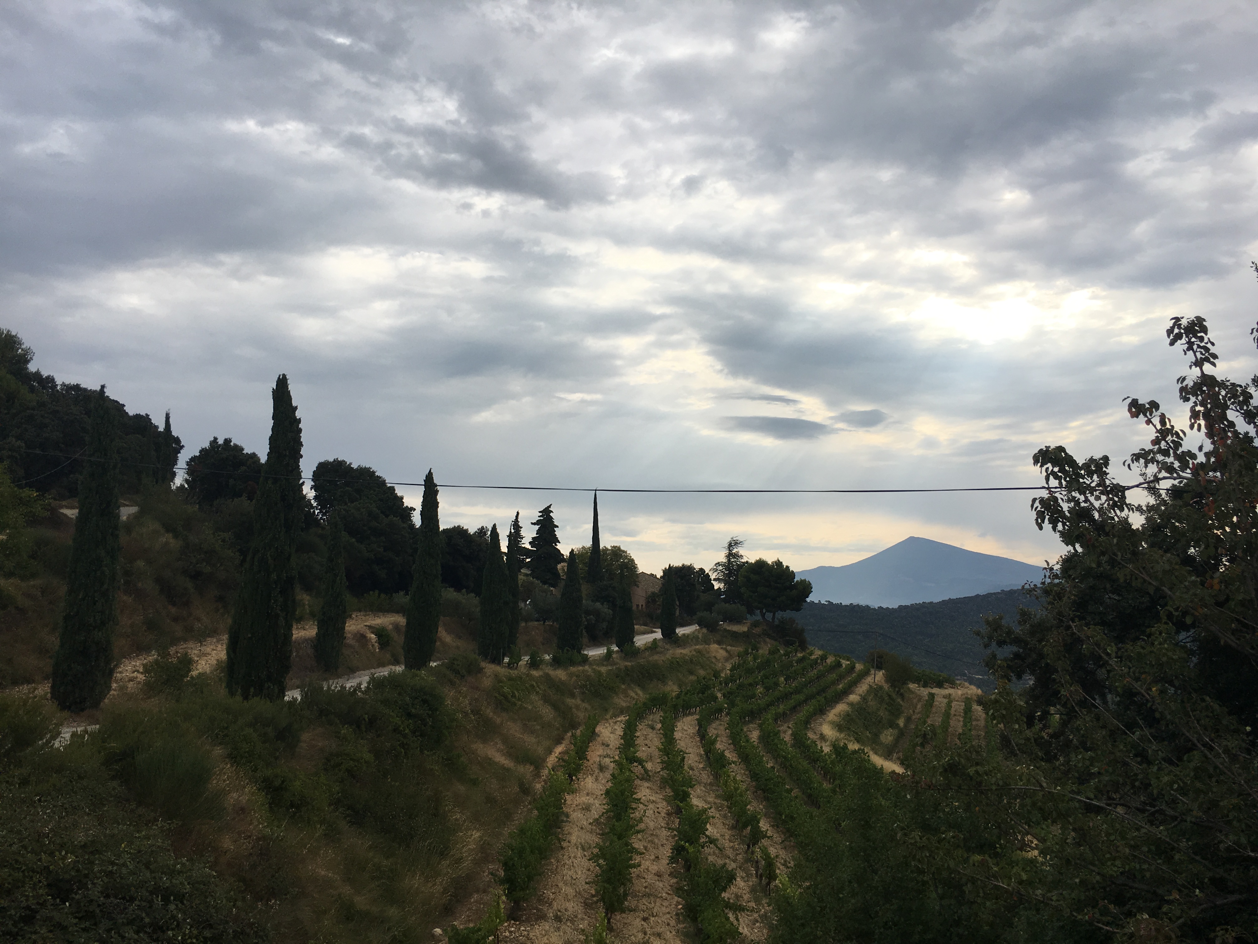 Photo n° 1 de l'avis de Guillaume. fait le 26/08/2017 à 09:24