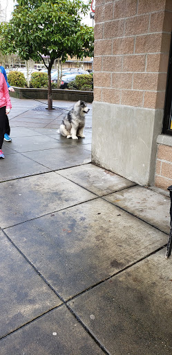 Pet Supply Store «Paddywack», reviews and photos, 15407 Main St #101, Bothell, WA 98012, USA