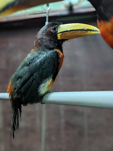 Animal Shelter «Animal Adventures Family Zoo & Rescue Center», reviews and photos, 336 Sugar Rd, Bolton, MA 01740, USA