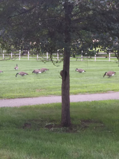 National Park «Home of Franklin D. Roosevelt National Historic Site», reviews and photos, 4097 Albany Post Rd, Hyde Park, NY 12538, USA