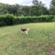 Harrison Dog Park