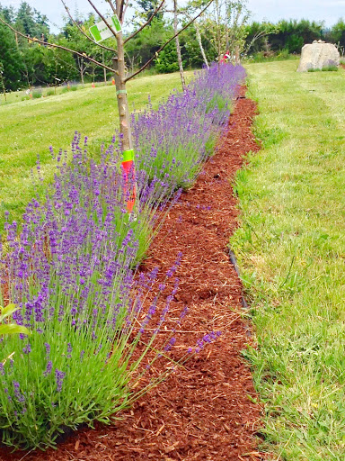 Wedding Venue «Kingston House Weddings & Events», reviews and photos, 25300 Miller Bay Rd NE, Kingston, WA 98346, USA