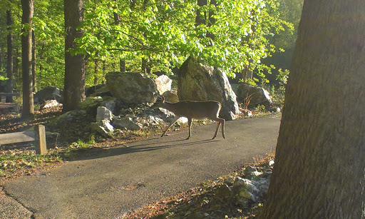 Golf Course «Generals Ridge Golf Course», reviews and photos, 9701 Manassas Dr, Manassas Park, VA 20111, USA