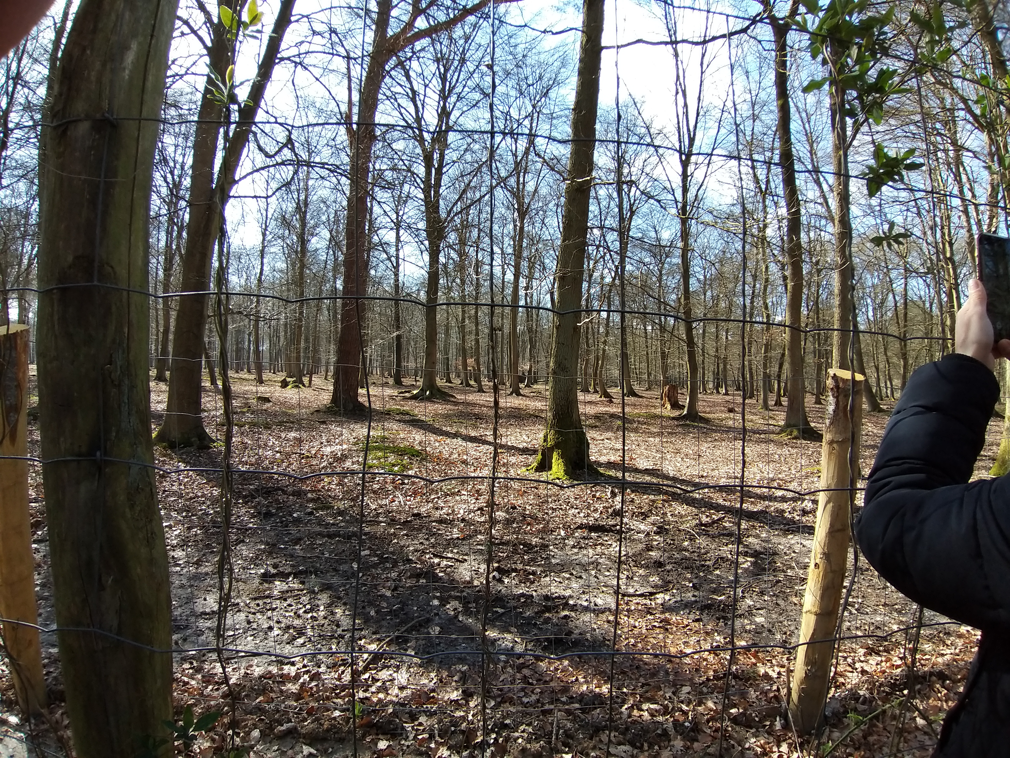 Photo n° 1 de l'avis de Christelle.i fait le 16/03/2019 à 20:29