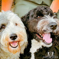 Happy Pup Manor - Photo 8 - Car repair in Grayslake, IL, Round Lake Beach