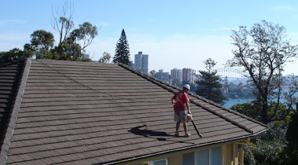 Roof and Gutter Cleaning Sydney