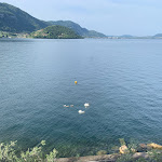 Photo n°7 de l'avis de Giuseppe.a fait le 08/06/2022 à 20:37 sur le  La Foresta à Monte Isola