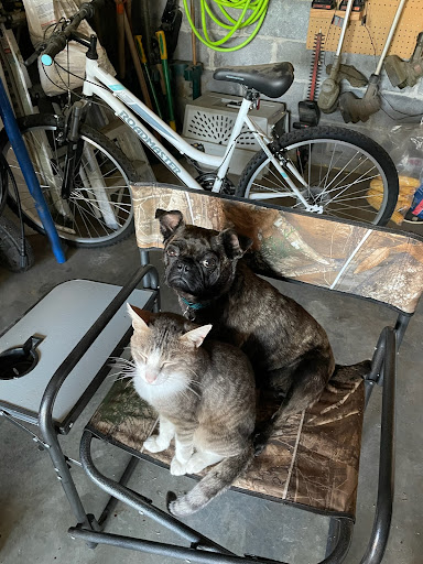 Pet Supply Store «PetSmart», reviews and photos, 2929 James Sanders Blvd f, Paducah, KY 42001, USA