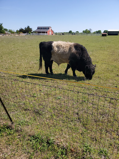 Winery «Eden Hill Winery and Vineyard», reviews and photos, 4910 Eden Hill Ln, Celina, TX 75009, USA