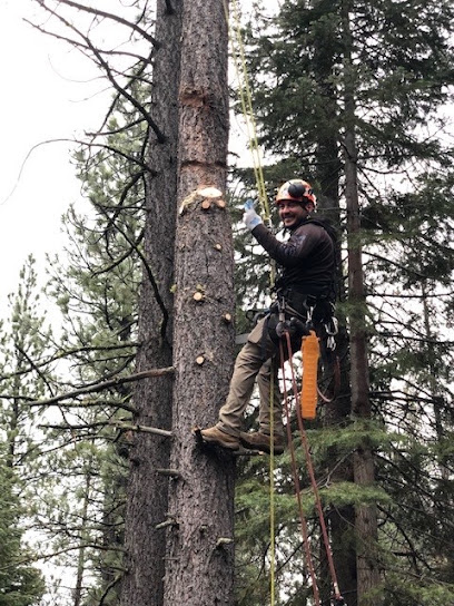 Alpen Tree Experts