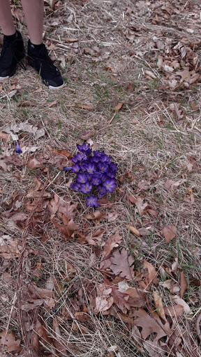 Park «Sweets Knoll State Park», reviews and photos, 1387 Somerset Ave, Dighton, MA 02715, USA