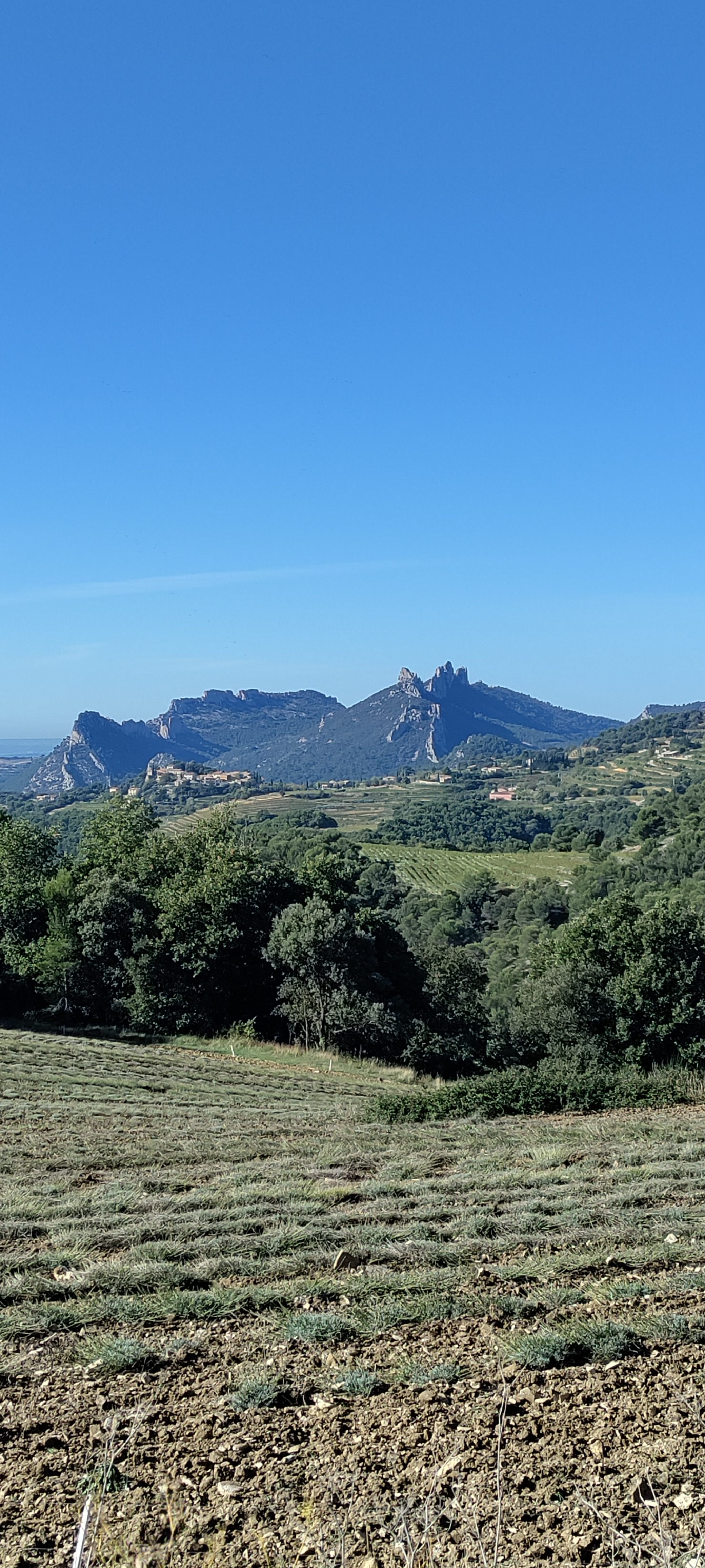 Photo n° 3 de l'avis de Laurent.o fait le 03/10/2023 à 10:13