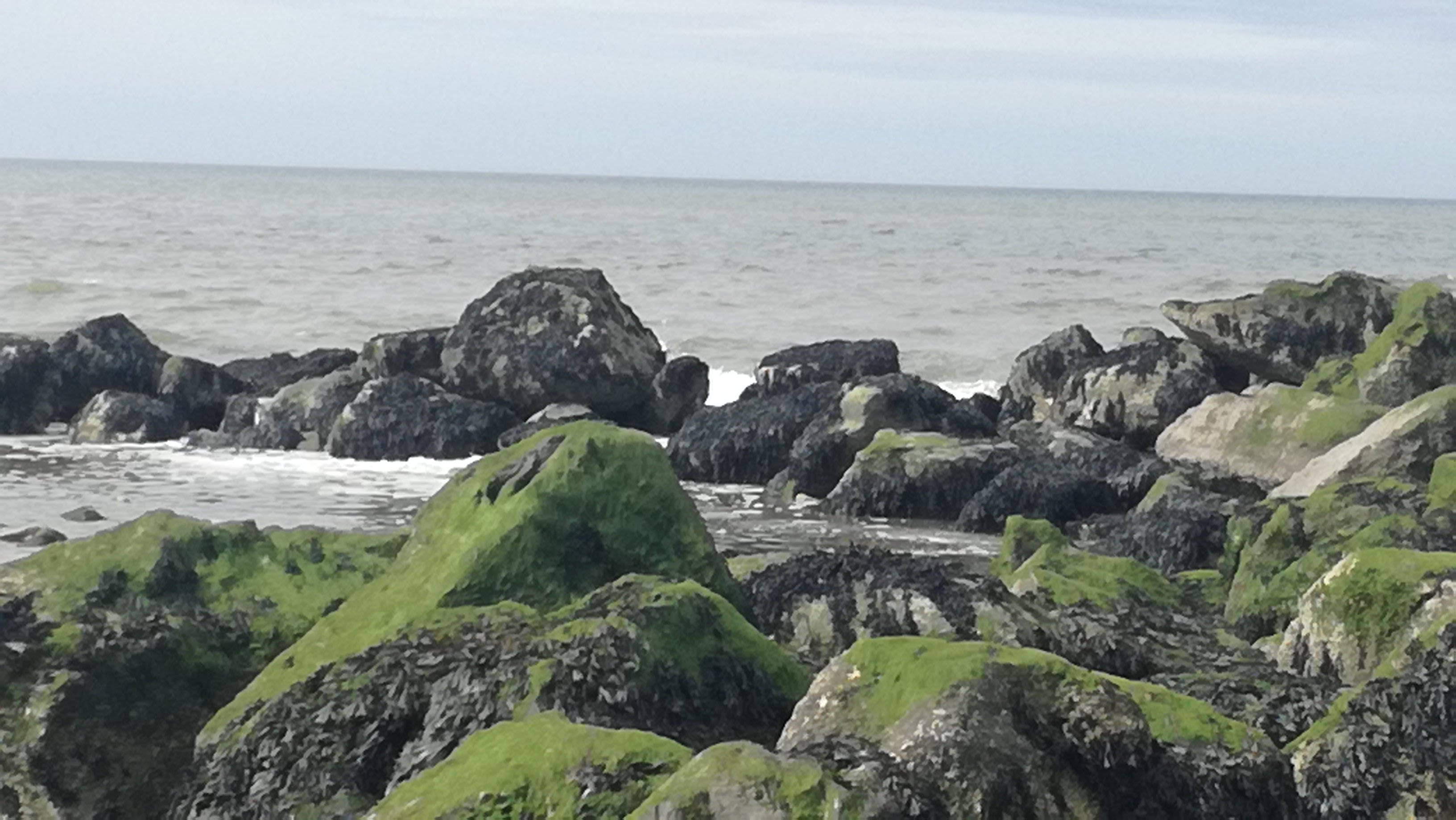 Photo n° 6 de l'avis de Bertin.A fait le 11/04/2018 à 13:20