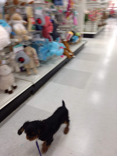 Department Store «T.J. Maxx and HomeGoods», reviews and photos, 9344 WI-16, Onalaska, WI 54650, USA