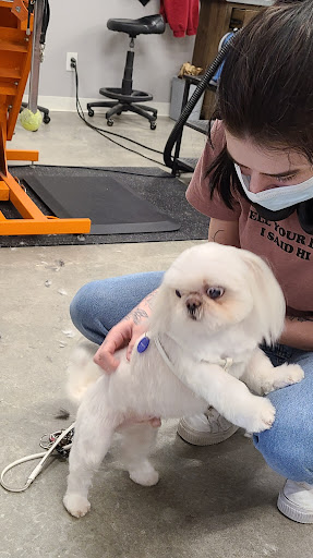 Pet Supply Store «EarthWise Pet Supply», reviews and photos, 4701 Bauer Farm Drive b, Lawrence, KS 66049, USA