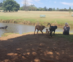 Emmarentia Park photo