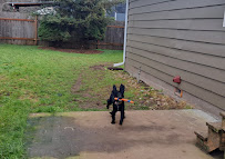 Petlandia Pet Care - Photo 6 - Car repair in Portland, OR, Portland